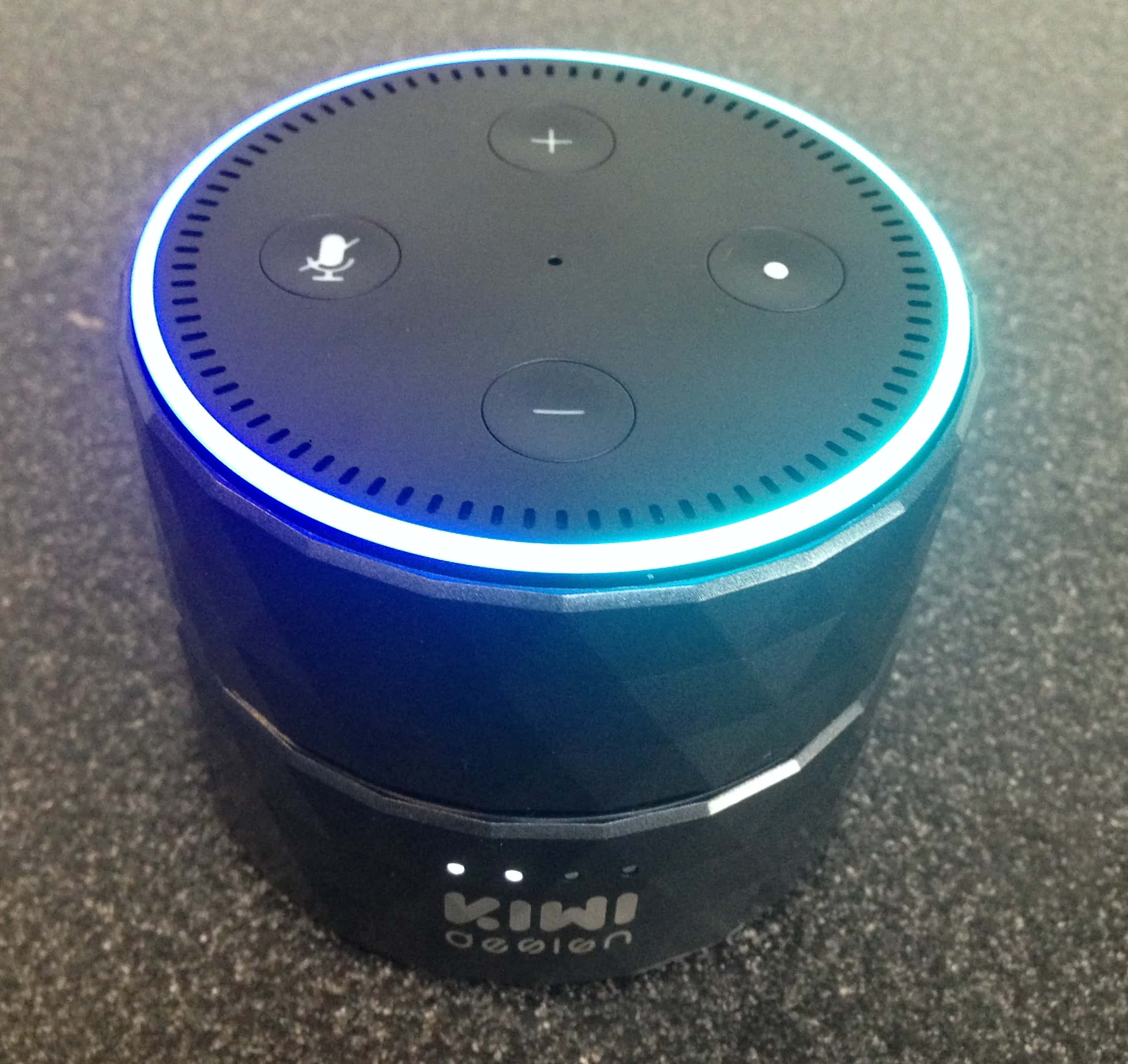 Amazon Echo Dot Battery Review UK