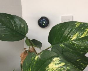 Nest Review UK